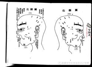 虎耳面相|五官面相学：耳朵看相，耳朵的形状及吉凶断法